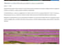 write SEO articles in spanish